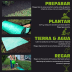 Alfombra de germinación rápida de césped